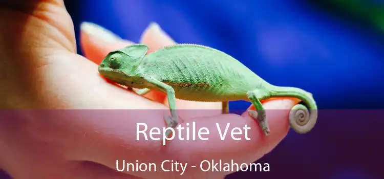 Reptile Vet Union City - Oklahoma