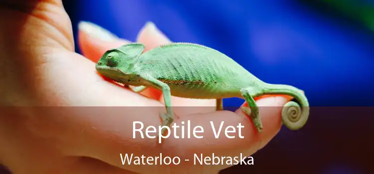 Reptile Vet Waterloo - Nebraska