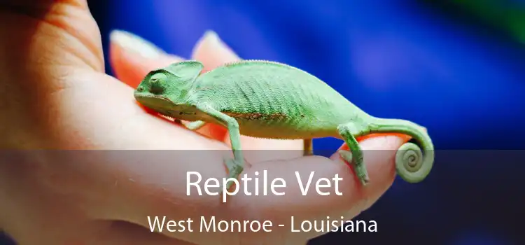 Reptile Vet West Monroe - Louisiana