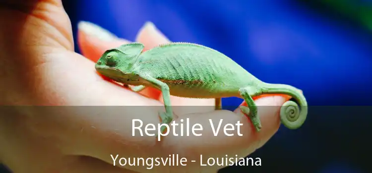 Reptile Vet Youngsville - Louisiana