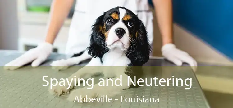 Spaying and Neutering Abbeville - Louisiana