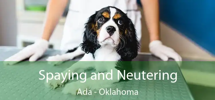 Spaying and Neutering Ada - Oklahoma