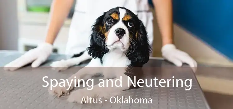 Spaying and Neutering Altus - Oklahoma