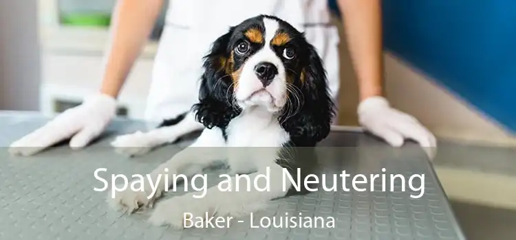 Spaying and Neutering Baker - Louisiana