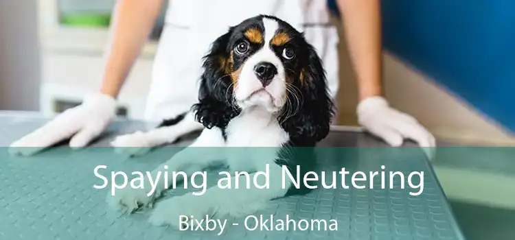 Spaying and Neutering Bixby - Oklahoma