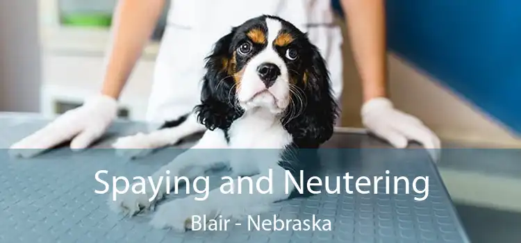 Spaying and Neutering Blair - Nebraska