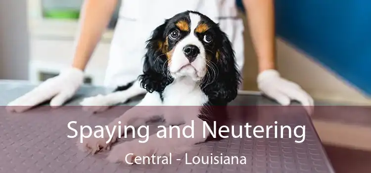 Spaying and Neutering Central - Louisiana