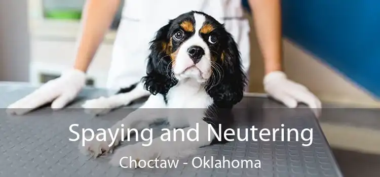 Spaying and Neutering Choctaw - Oklahoma