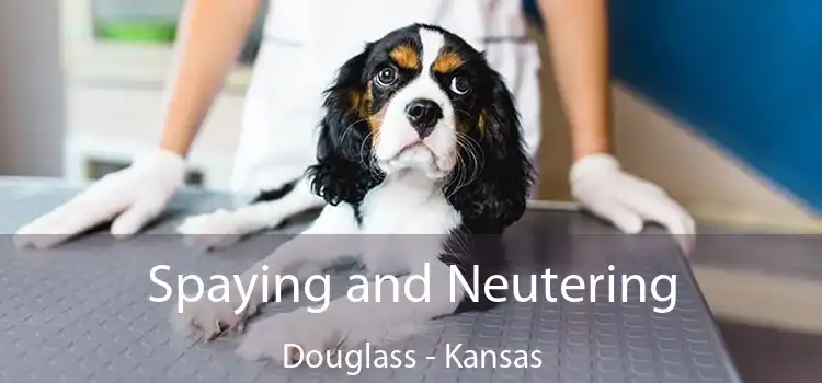 Spaying and Neutering Douglass - Kansas