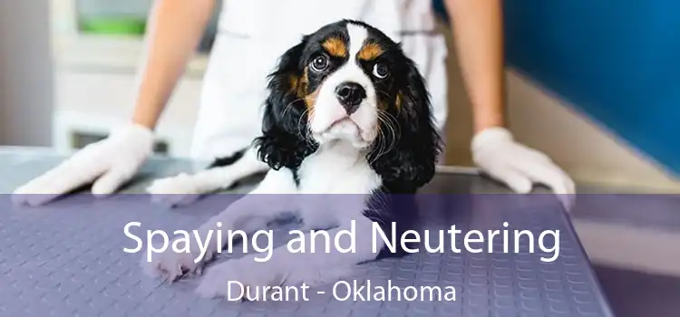 Spaying and Neutering Durant - Oklahoma