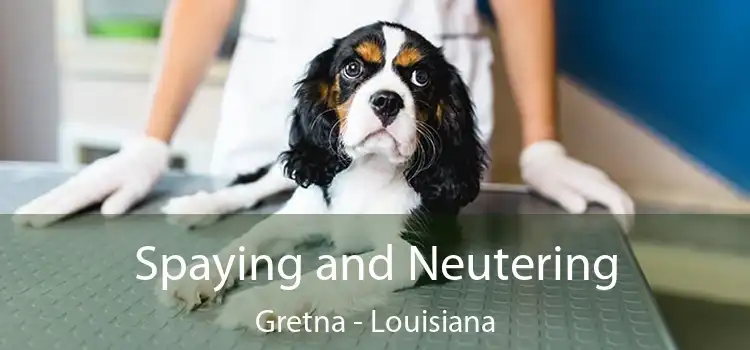 Spaying and Neutering Gretna - Louisiana