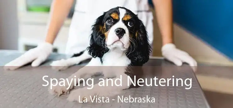 Spaying and Neutering La Vista - Nebraska