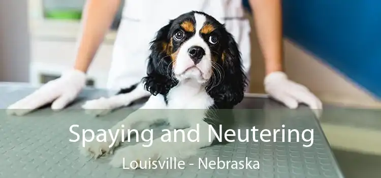 Spaying and Neutering Louisville - Nebraska