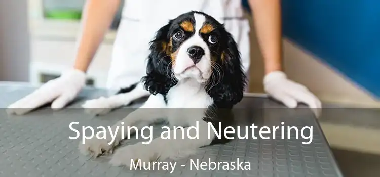 Spaying and Neutering Murray - Nebraska