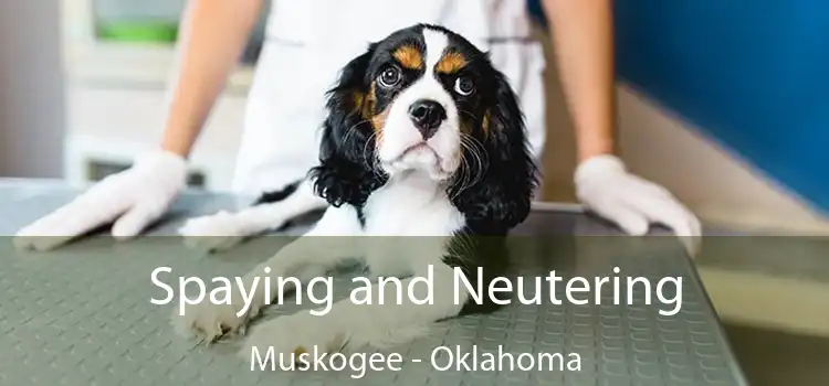 Spaying and Neutering Muskogee - Oklahoma