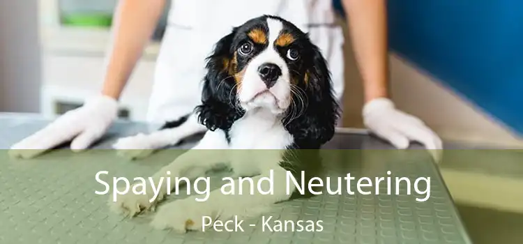 Spaying and Neutering Peck - Kansas