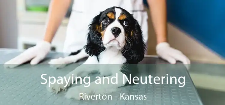 Spaying and Neutering Riverton - Kansas