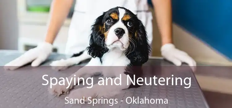 Spaying and Neutering Sand Springs - Oklahoma