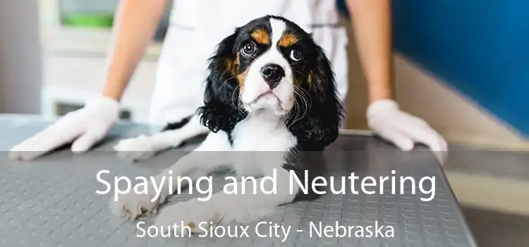 Spaying and Neutering South Sioux City - Nebraska