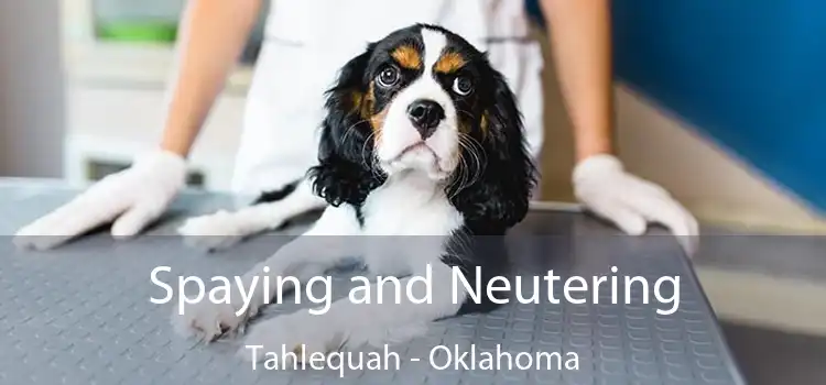 Spaying and Neutering Tahlequah - Oklahoma