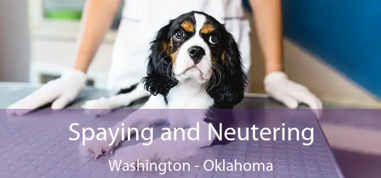 Spaying and Neutering Washington - Oklahoma