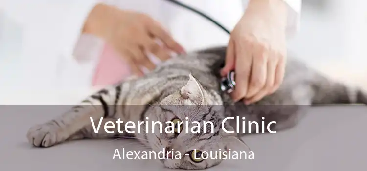 Veterinarian Clinic Alexandria - Louisiana