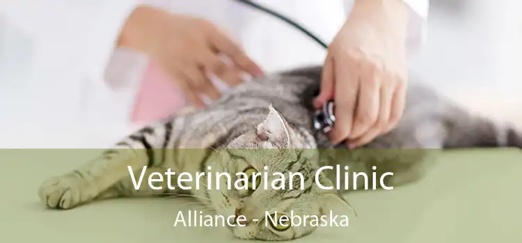 Veterinarian Clinic Alliance - Nebraska