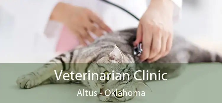 Veterinarian Clinic Altus - Oklahoma