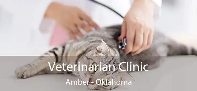 Veterinarian Clinic Amber - Oklahoma