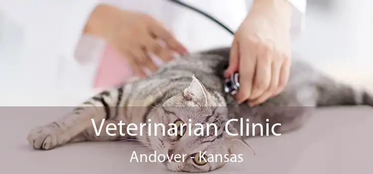 Veterinarian Clinic Andover - Kansas