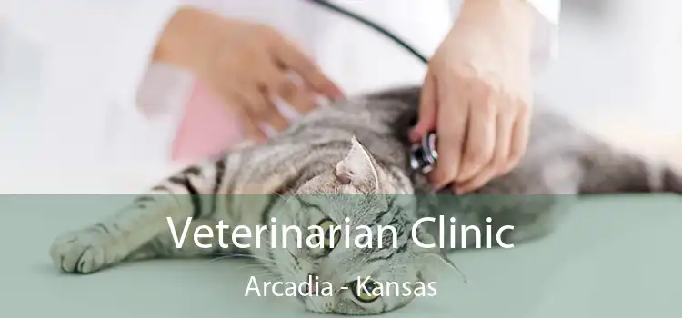 Veterinarian Clinic Arcadia - Kansas