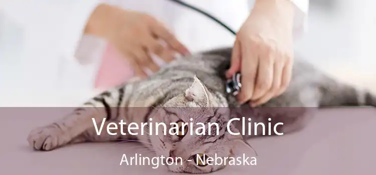 Veterinarian Clinic Arlington - Nebraska