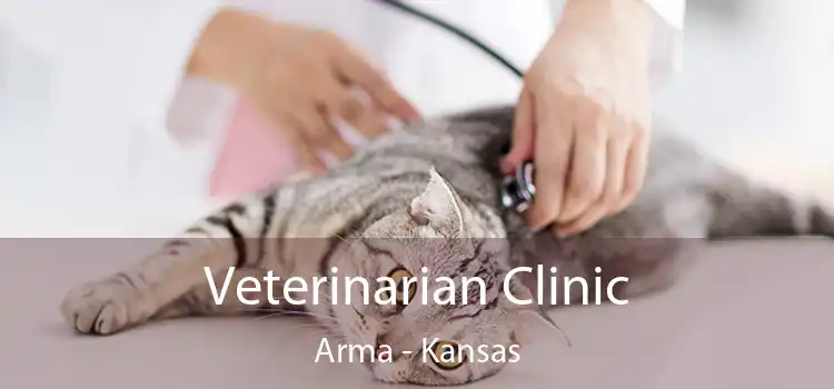 Veterinarian Clinic Arma - Kansas