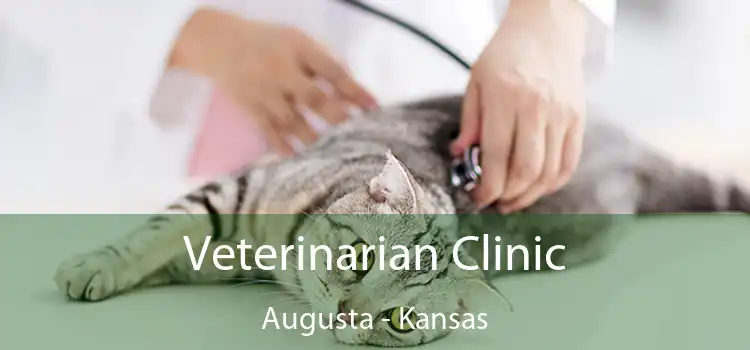 Veterinarian Clinic Augusta - Kansas