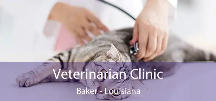 Veterinarian Clinic Baker - Louisiana