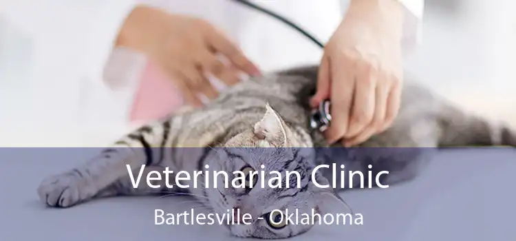 Veterinarian Clinic Bartlesville - Oklahoma