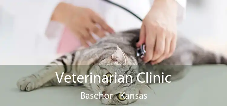 Veterinarian Clinic Basehor - Kansas