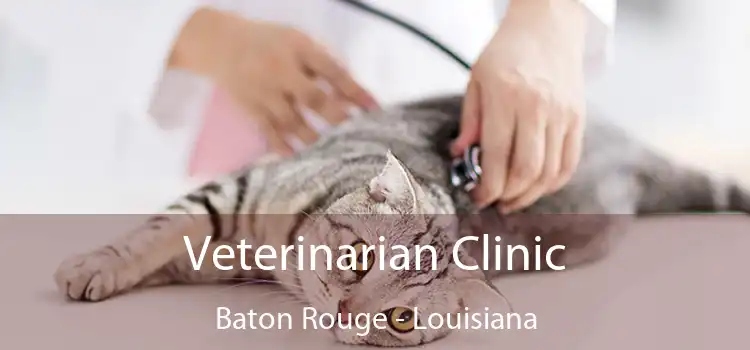 Veterinarian Clinic Baton Rouge - Louisiana