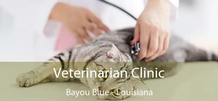 Veterinarian Clinic Bayou Blue - Louisiana