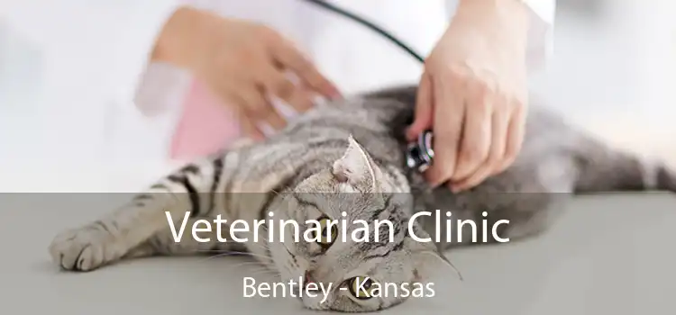 Veterinarian Clinic Bentley - Kansas