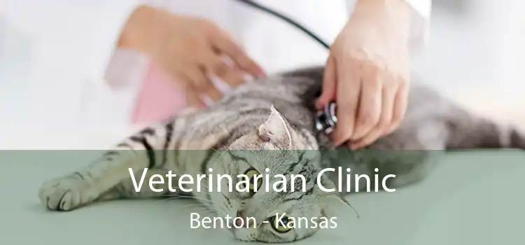 Veterinarian Clinic Benton - Kansas