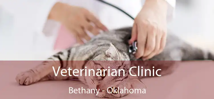 Veterinarian Clinic Bethany - Oklahoma