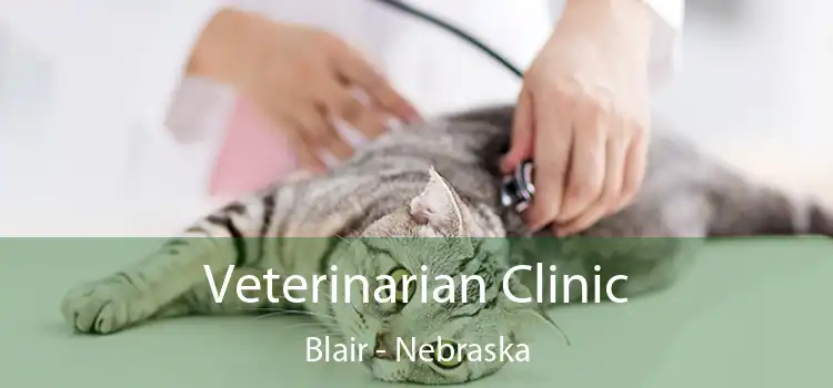 Veterinarian Clinic Blair - Nebraska