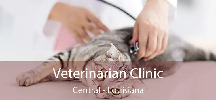 Veterinarian Clinic Central - Louisiana