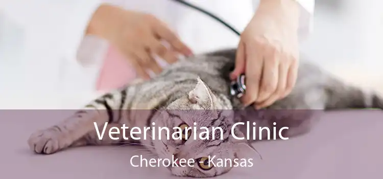 Veterinarian Clinic Cherokee - Kansas