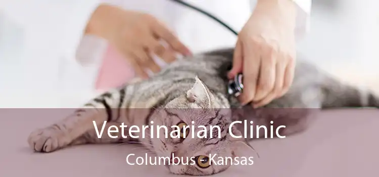 Veterinarian Clinic Columbus - Kansas