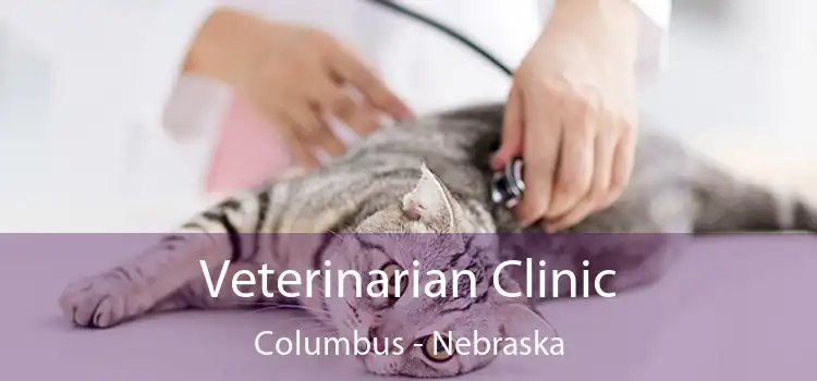 Veterinarian Clinic Columbus - Nebraska