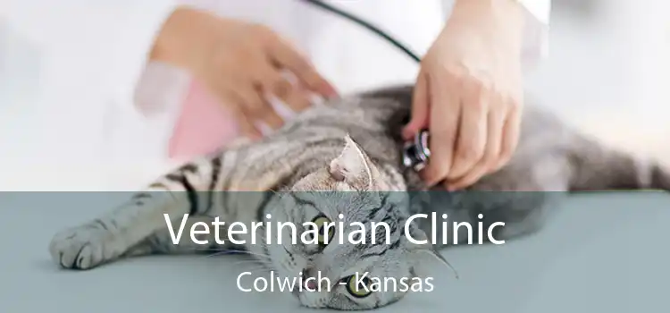 Veterinarian Clinic Colwich - Kansas