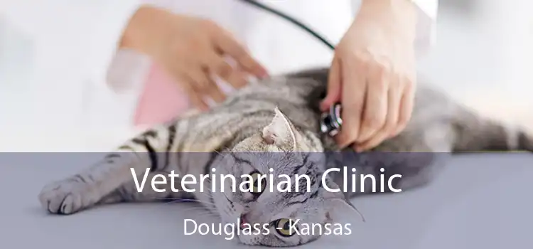 Veterinarian Clinic Douglass - Kansas