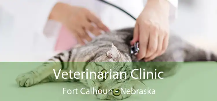 Veterinarian Clinic Fort Calhoun - Nebraska